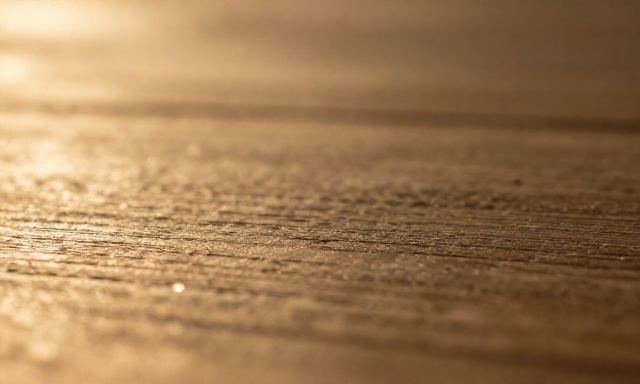 스냅리뷰 관련 이미지 - 스냅리뷰, 한 장의 사진에 담긴 감정의 기록을 읽는 법