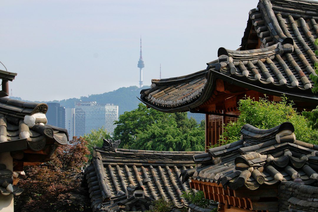 한국소설베스트셀러 참고 이미지 2