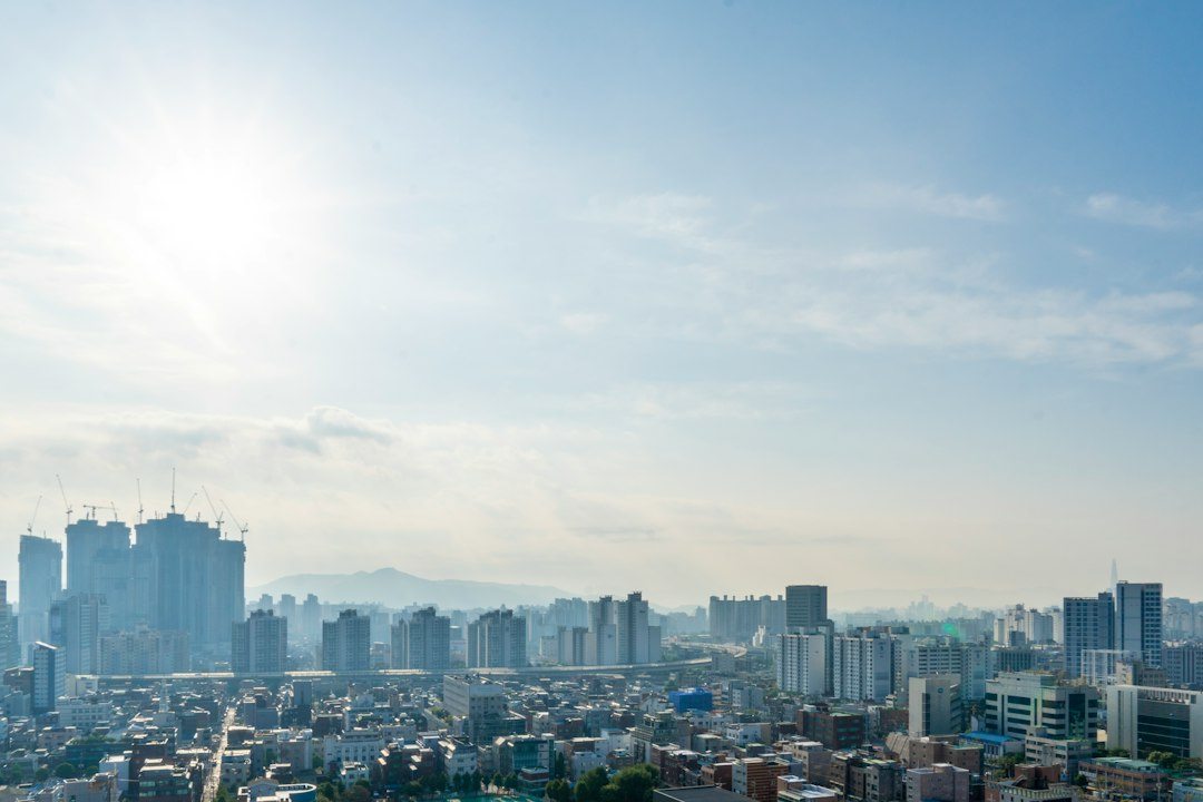 영수증리뷰 참고 이미지 2